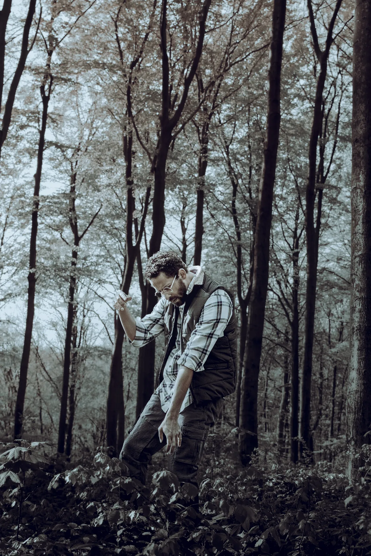 editorial out in the woods 01