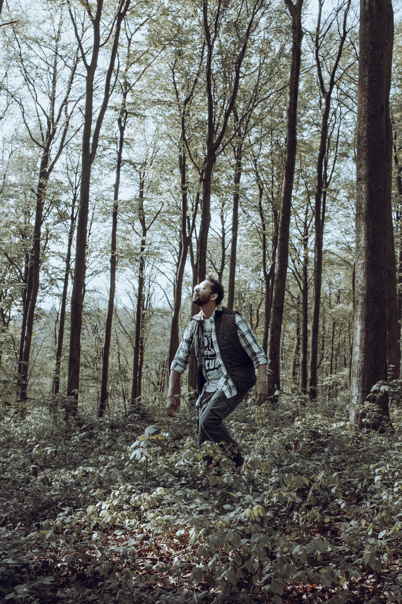 editorial out in the woods 02