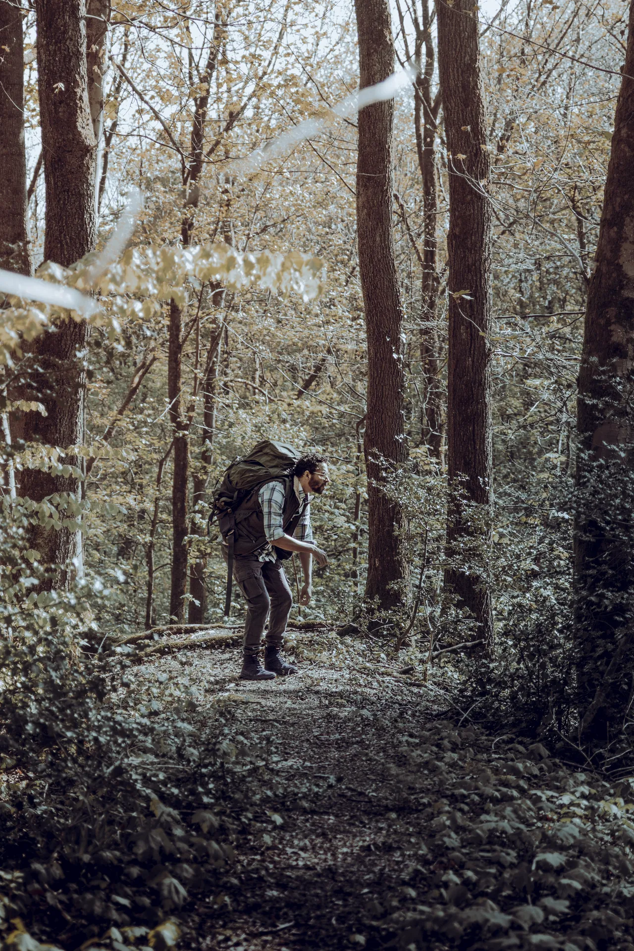 editorial out in the woods 03