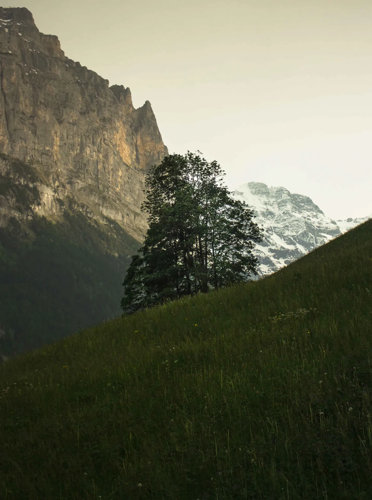 mood alpine valley lauterbrunnen switzerland 01