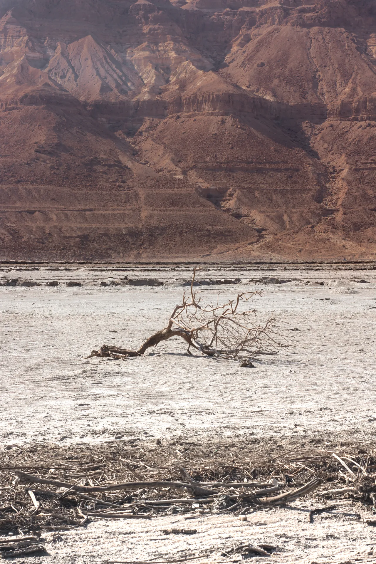 mood dead sea israel 02