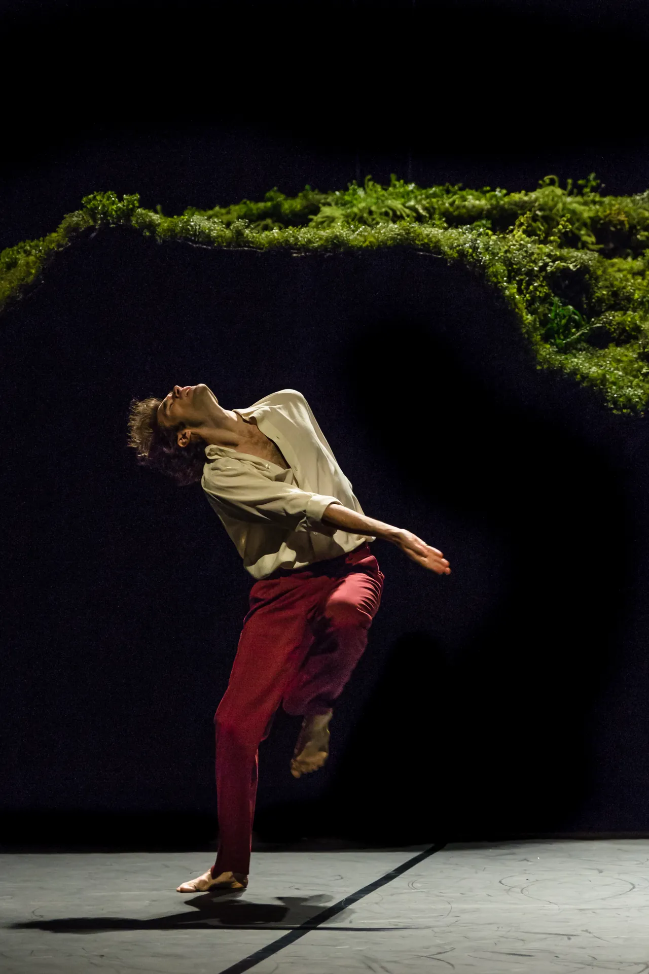 stage wiesenland tanztheater wuppertal 01